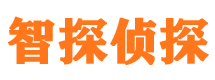 天元外遇调查取证